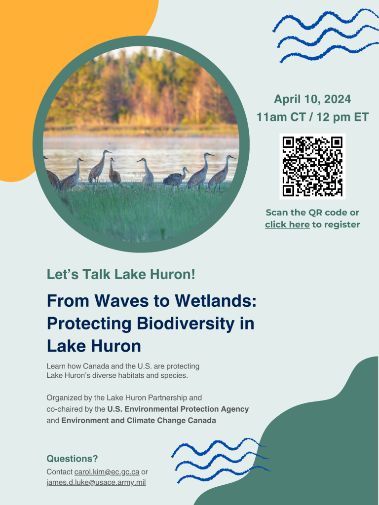 Poster for Lake Huron webinar